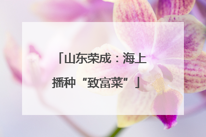 山东荣成：海上播种“致富菜”