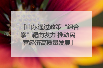 山东通过政策“组合拳”靶向发力 推动民营经济高质量发展