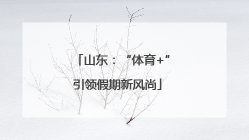 山东：“体育+”引领假期新风尚