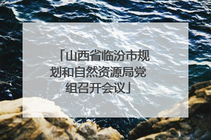 山西省临汾市规划和自然资源局党组召开会议