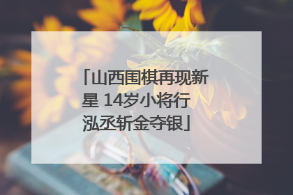 山西围棋再现新星 14岁小将行泓丞斩金夺银