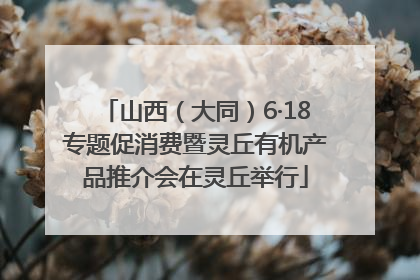 山西（大同）6·18专题促消费暨灵丘有机产品推介会在灵丘举行