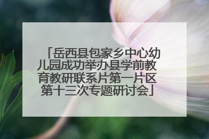 岳西县包家乡中心幼儿园成功举办县学前教育教研联系片第一片区第十三次专题研讨会