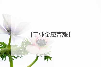 工业金属普涨