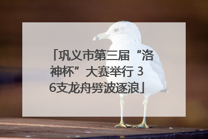 巩义市第三届“洛神杯”大赛举行 36支龙舟劈波逐浪