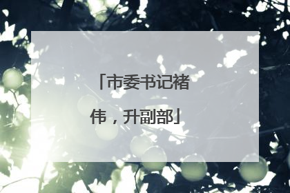市委书记褚伟，升副部