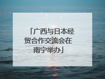 广西与日本经贸合作交流会在南宁举办