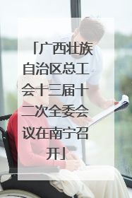 广西壮族自治区总工会十三届十二次全委会议在南宁召开