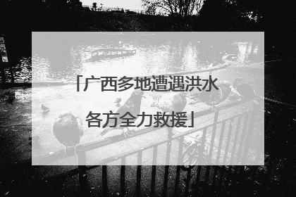 广西多地遭遇洪水 各方全力救援