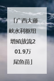 广西大藤峡水利枢纽增殖放流201.9万尾鱼苗