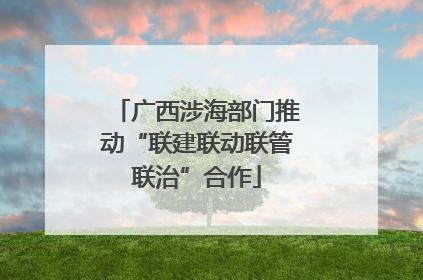 广西涉海部门推动“联建联动联管联治”合作