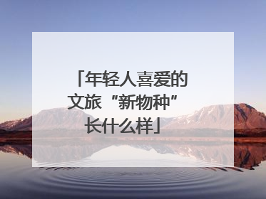 年轻人喜爱的文旅“新物种”长什么样
