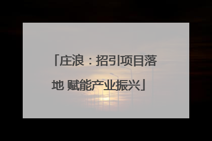 庄浪：招引项目落地 赋能产业振兴