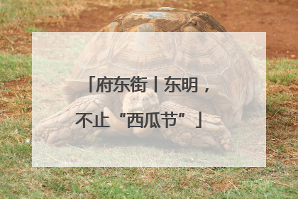 府东街丨东明，不止“西瓜节”