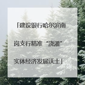 建设银行哈尔滨南岗支行精准“浇灌”实体经济发展沃土
