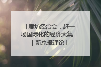 廊坊经洽会，赶一场国际化的经济大集｜新京报评论