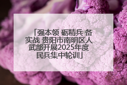 强本领 砺精兵 备实战 贵阳市南明区人武部开展2025年度民兵集中轮训