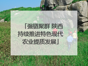 强链聚群 陕西持续推进特色现代农业提质发展