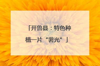 开鲁县：特色种植一片“薯光”