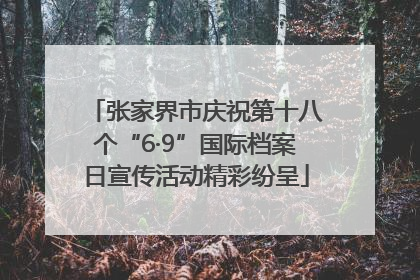 张家界市庆祝第十八个“6·9”国际档案日宣传活动精彩纷呈