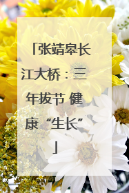 张靖皋长江大桥：三年拔节 健康“生长”