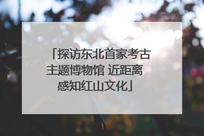 探访东北首家考古主题博物馆 近距离感知红山文化