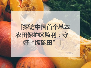 探访中国首个基本农田保护区监利：守好“饭碗田”