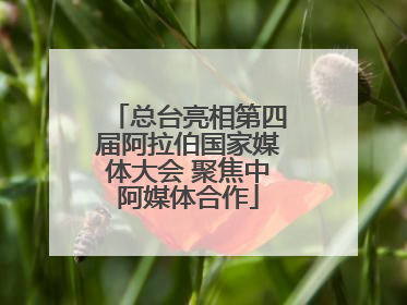 总台亮相第四届阿拉伯国家媒体大会 聚焦中阿媒体合作