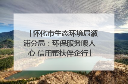 怀化市生态环境局溆浦分局：环保服务暖人心 信用帮扶伴企行