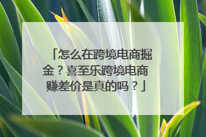 怎么在跨境电商掘金？喜至乐跨境电商赚差价是真的吗？
