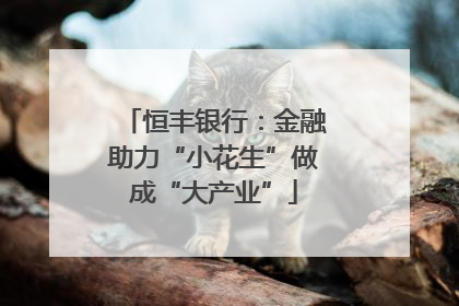 恒丰银行：金融助力“小花生”做成“大产业”