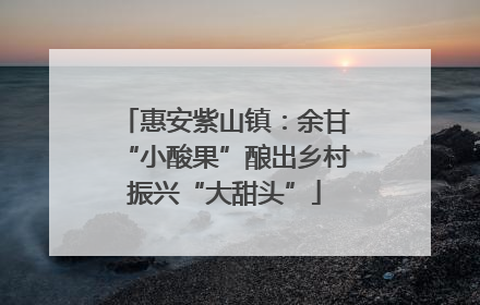 惠安紫山镇：余甘“小酸果”酿出乡村振兴“大甜头”