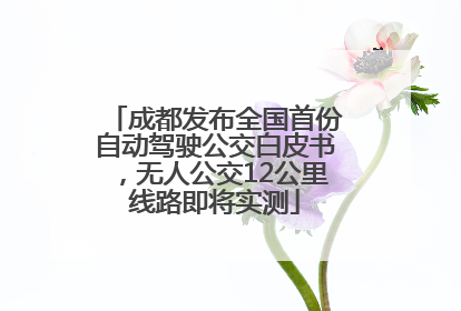 成都发布全国首份自动驾驶公交白皮书，无人公交12公里线路即将实测