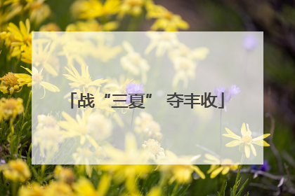 战“三夏” 夺丰收