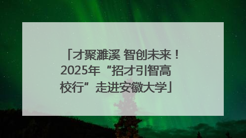 才聚濉溪 智创未来！2025年“招才引智高校行”走进安徽大学