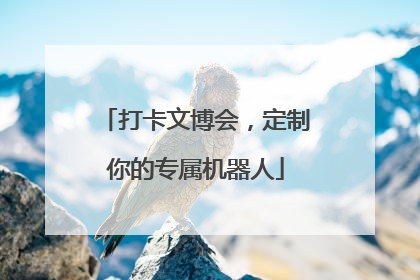 打卡文博会，定制你的专属机器人
