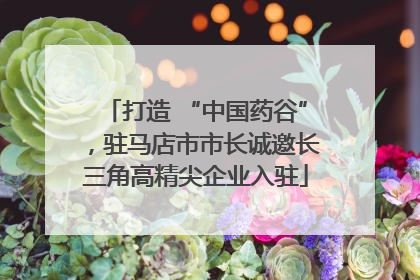打造 “中国药谷”，驻马店市市长诚邀长三角高精尖企业入驻