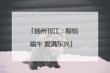 扬州邗江：粽情端午 爱满东兴
