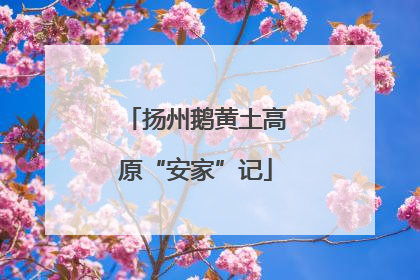 扬州鹅黄土高原“安家”记