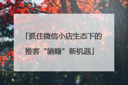 抓住微信小店生态下的推客“躺赚”新机遇