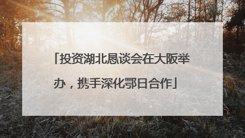 投资湖北恳谈会在大阪举办，携手深化鄂日合作