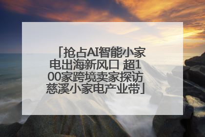 抢占AI智能小家电出海新风口 超100家跨境卖家探访慈溪小家电产业带