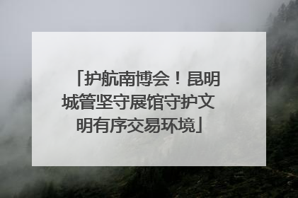 护航南博会！昆明城管坚守展馆守护文明有序交易环境