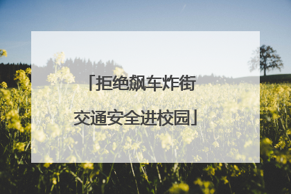 拒绝飙车炸街 交通安全进校园