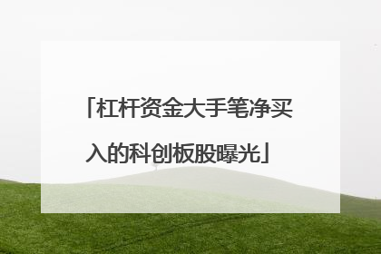 杠杆资金大手笔净买入的科创板股曝光