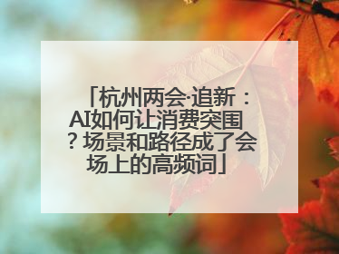 杭州两会·追新：AI如何让消费突围？场景和路径成了会场上的高频词