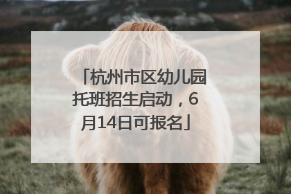 杭州市区幼儿园托班招生启动，6月14日可报名