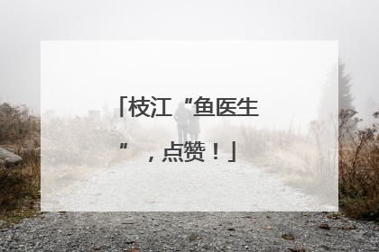 枝江“鱼医生”，点赞！