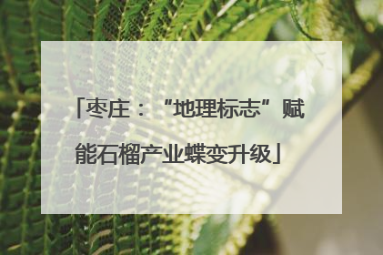 枣庄：“地理标志”赋能石榴产业蝶变升级