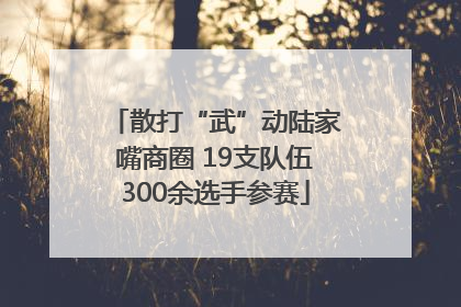 散打“武”动陆家嘴商圈 19支队伍300余选手参赛